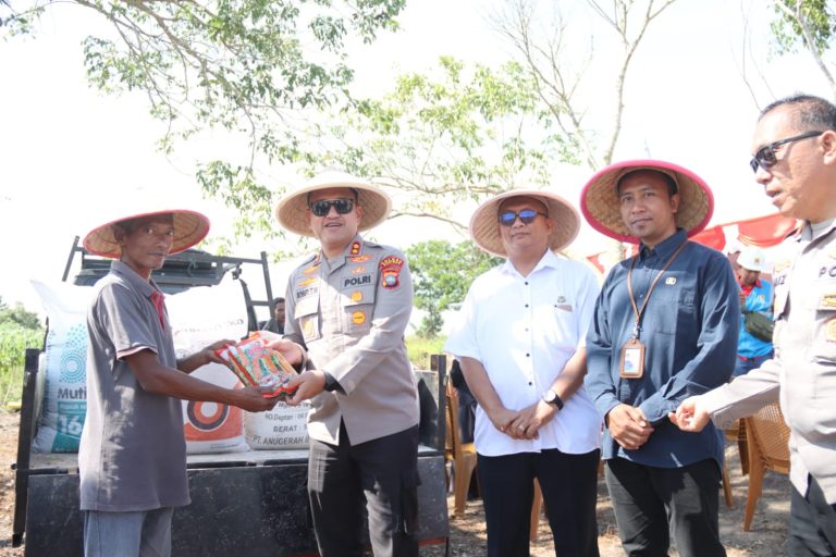 WhatsApp Image 2025-10-08 at 14.12.47