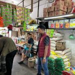 WhatsApp Image 2025-11-19 at 08.36.02