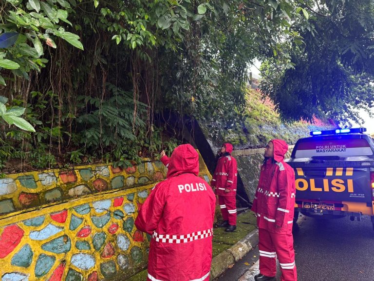 WhatsApp Image 2025-11-25 at 09.34.14 (1)