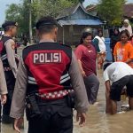 WhatsApp Image 2025-12-08 at 08.23.27