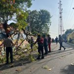 WhatsApp Image 2026-01-20 at 15.23.52