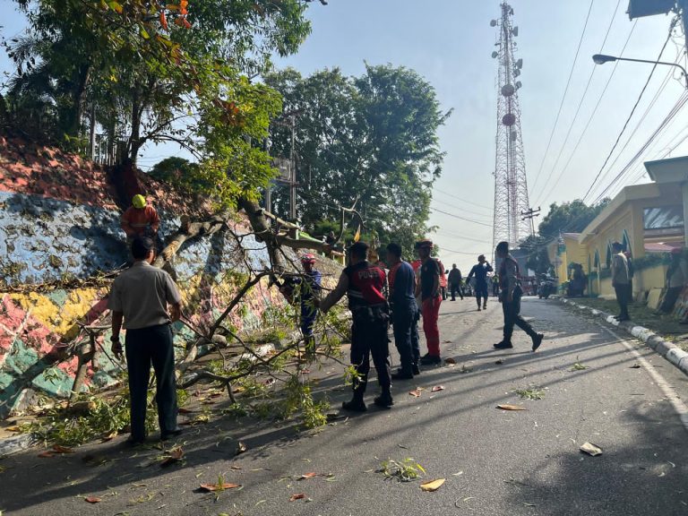 WhatsApp Image 2026-01-20 at 15.23.52